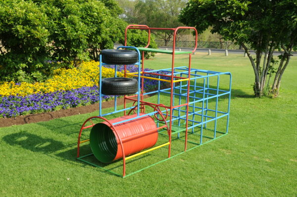 train with climbing frame jungle gym